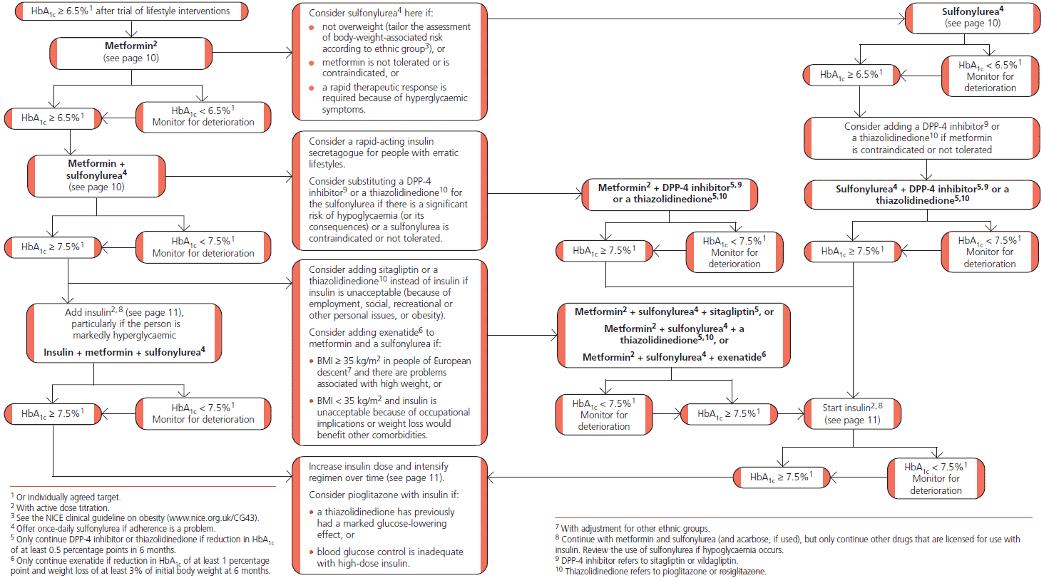 Алгоритмы сахарный диабет 2023. Insulin Secretagogue.